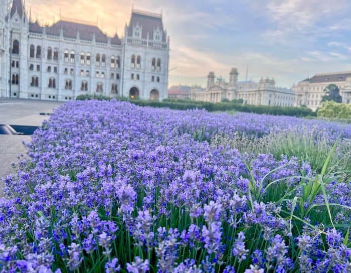 Hungarian Parliament Building in Budapest 