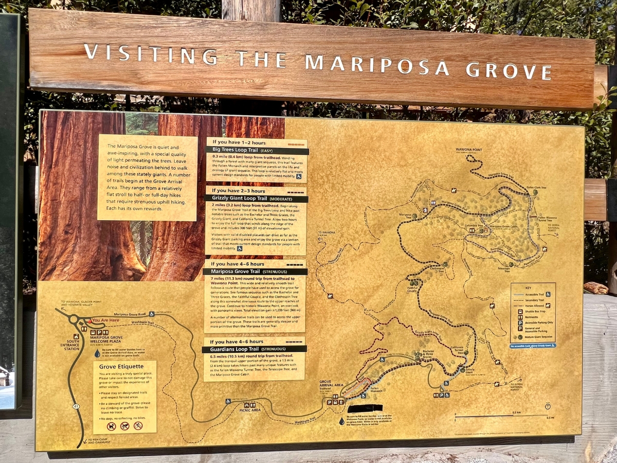 Guide For Visiting Mariposa Grove Of Giant Sequoias In Yosemite ...