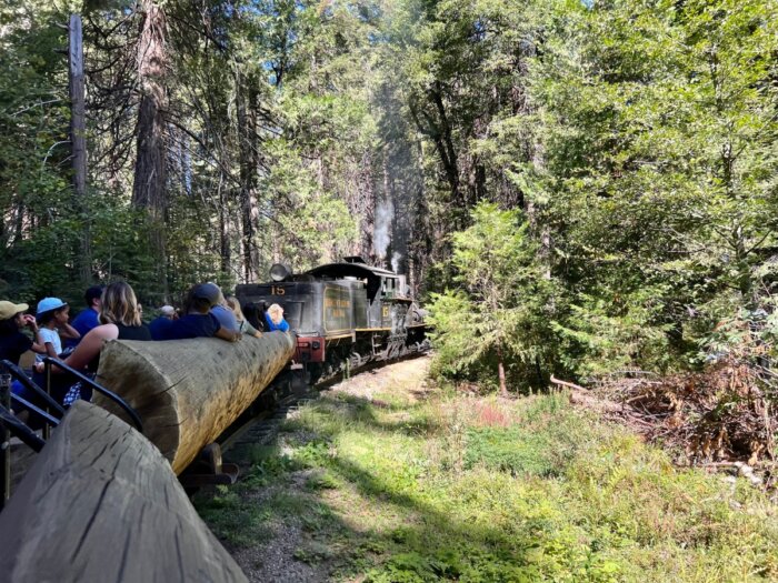 logger train ride with Yosemite Mountain Sugar Pine Railroad