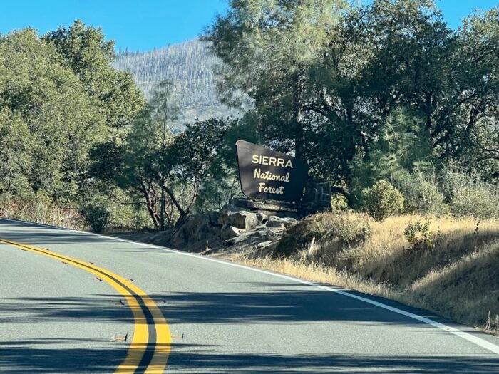 sign for Sierra National Forest