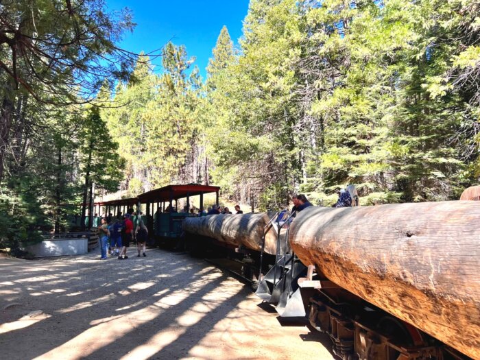 steam engine train Yosemite Mountain Sugar Pine Railroad