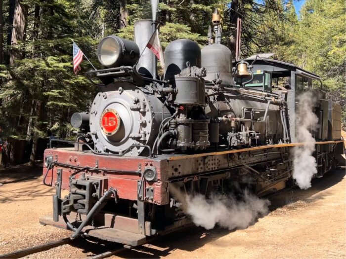 steam engine train at Yosemite Mountain Sugar Pine Railroad
