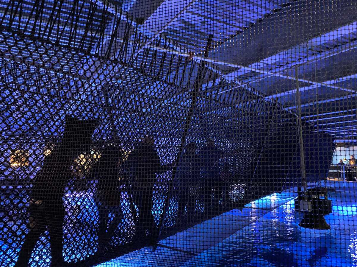 Hidden Gems and Unique Things to Do in Newport, Kentucky