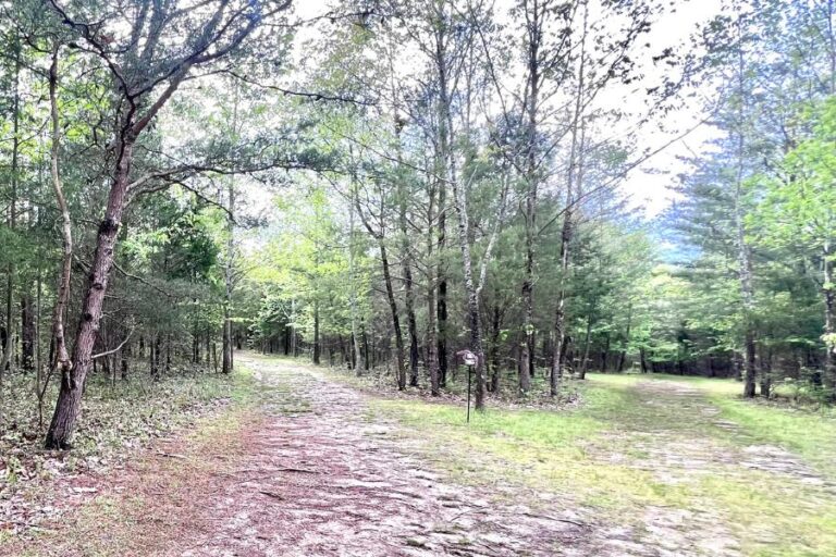 See the "Big Twigs" and Explore Lake Malone State Park in KY