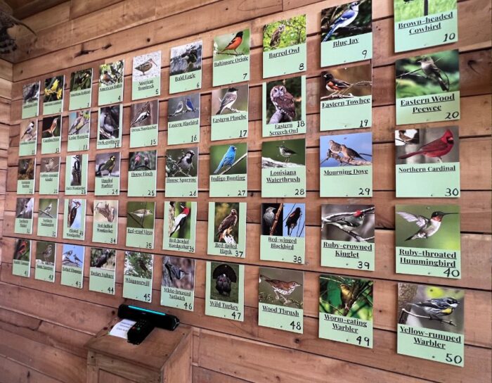 Bird wall inside Treehouse at Heritage Farm 