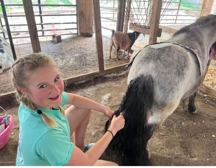 girl braiding a pony's tail at Heritage Farm