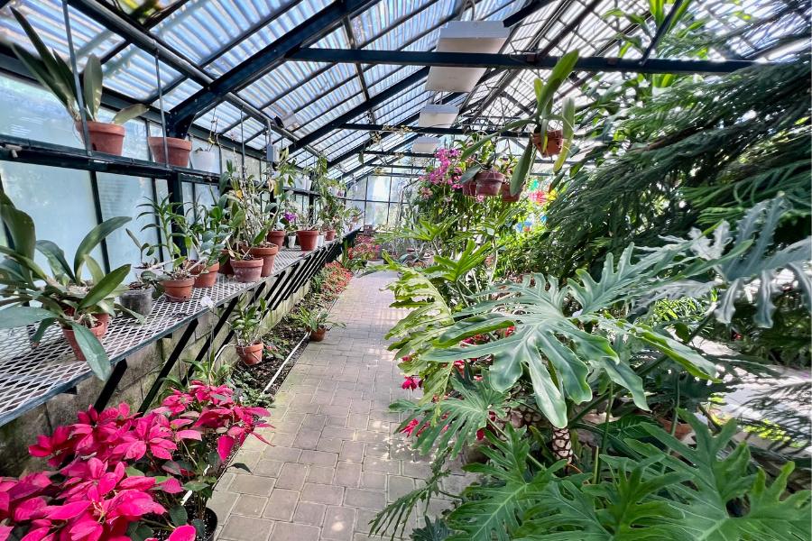 The Best Things to Do in Owensboro, Kentucky