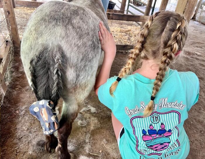 pony with braids and girl with braids