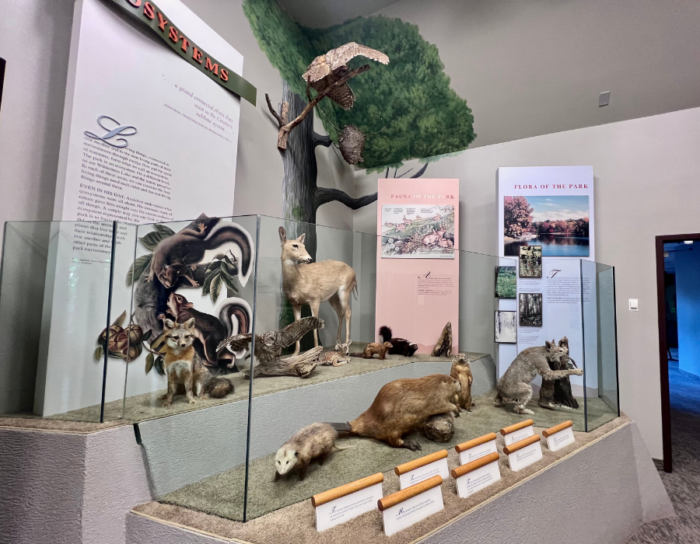 exhibit at Museum at John James Audubon State Park