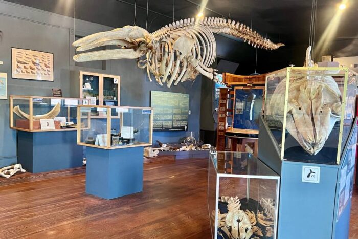 The Whale Museum San Juan Island