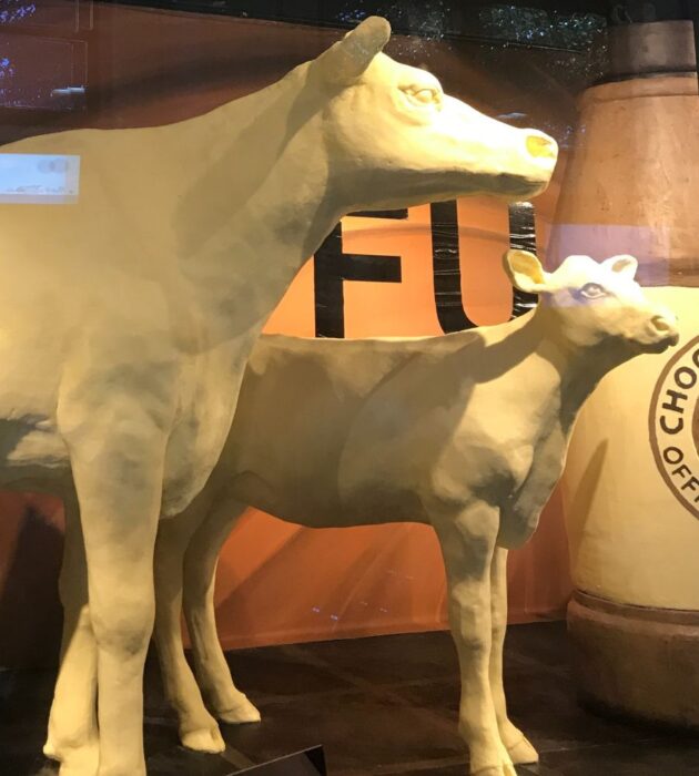 butter cow at the Ohio State Fair 
