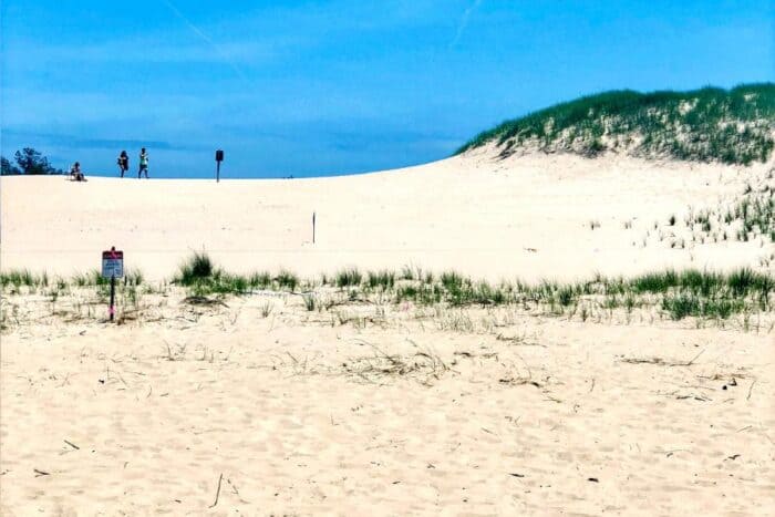 sand dunes at Muskegon State Park