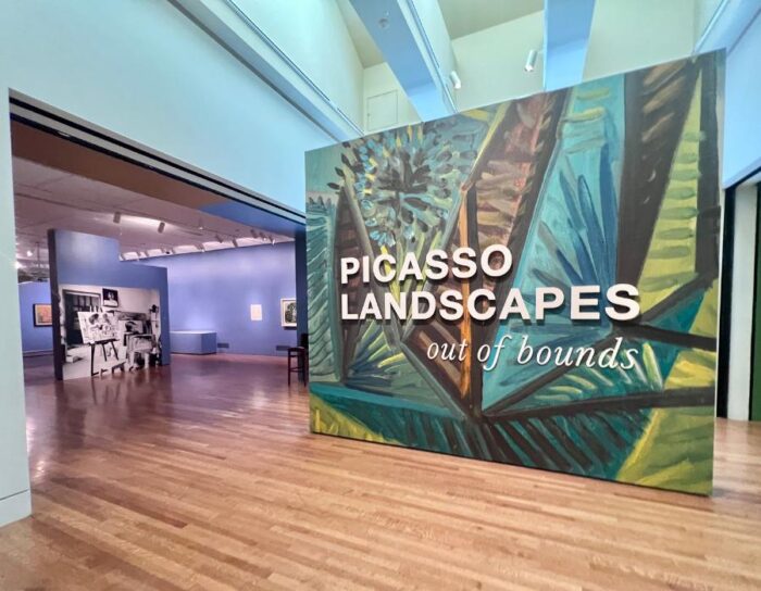 Picasso Landscapes Out of Bounds exhibit at Cincinnati Art Museum 2