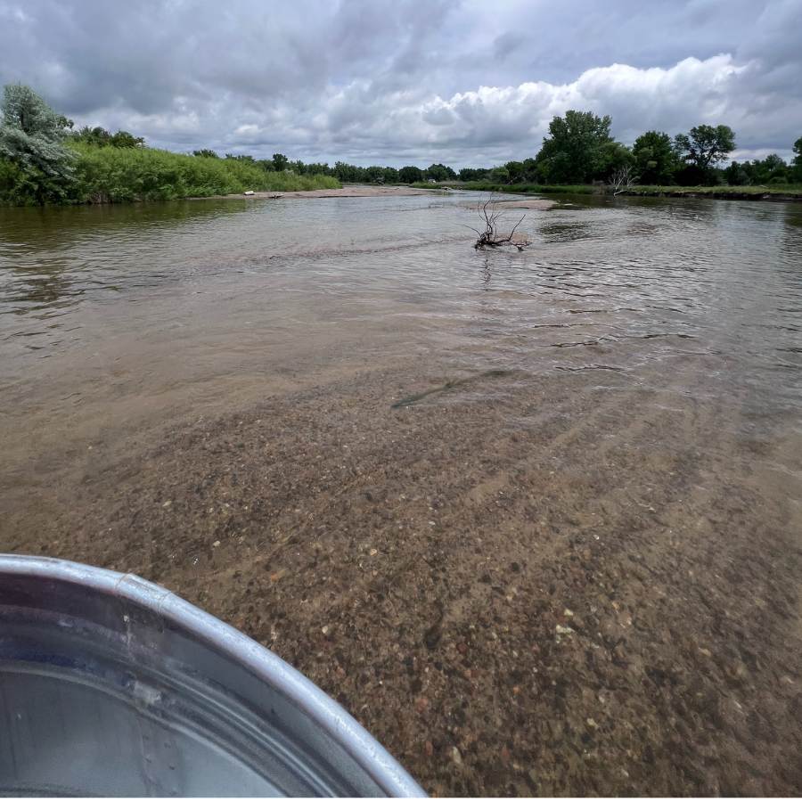 Tanking in Nebraska A Fun Float Trip on the River