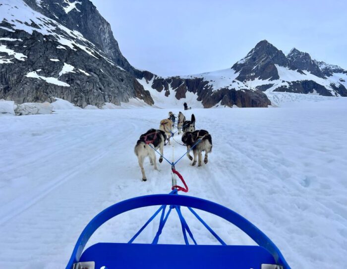 Dog sledding on glacier in Alaska 