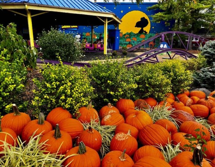 The Great Pumpkin Coaster Kings Island 