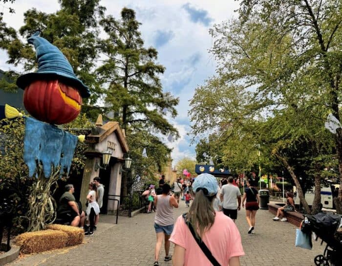 giant pumpkins at Kings Island 