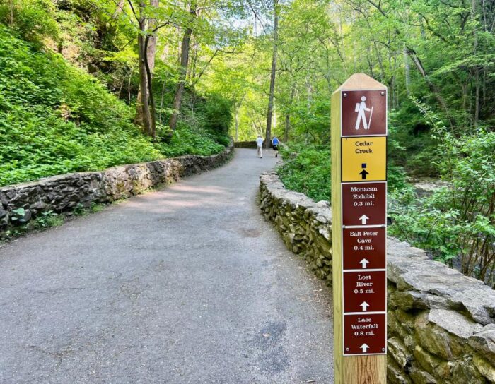 hiking trail at Natural Bridge State Park in Virginia 