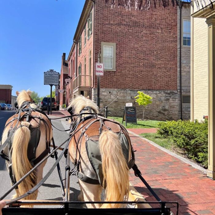 horse drawn carriage tour Lexington Carriage Company