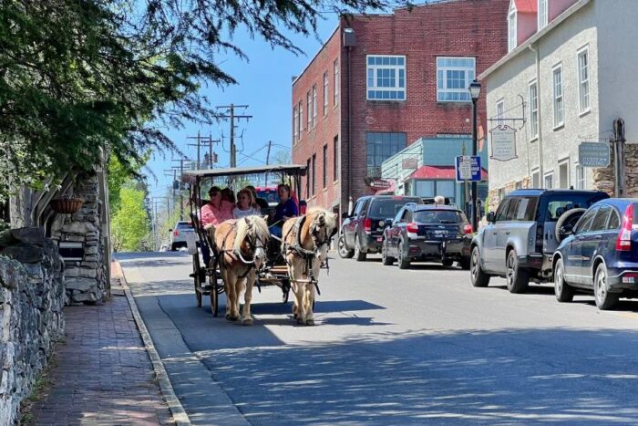 horse drawn carriage tour Lexington Carriage Company