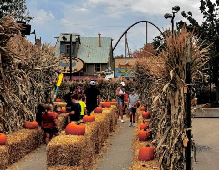  pumpkins at Kings Island 