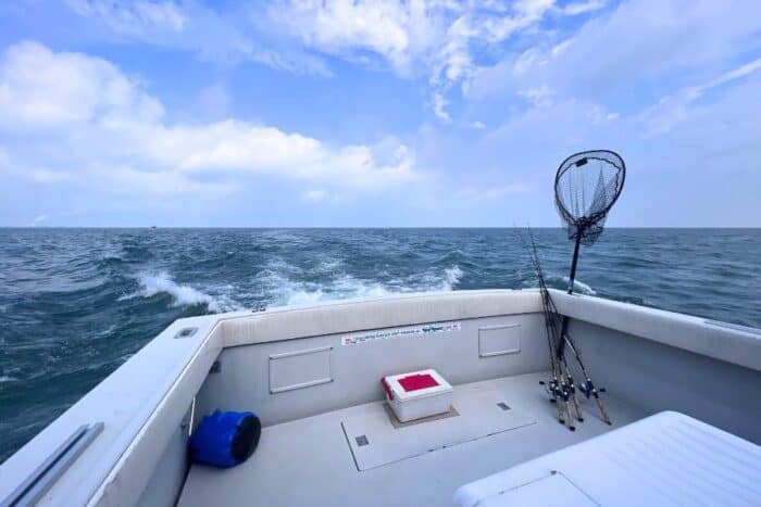 walleye fishing Lake Erie