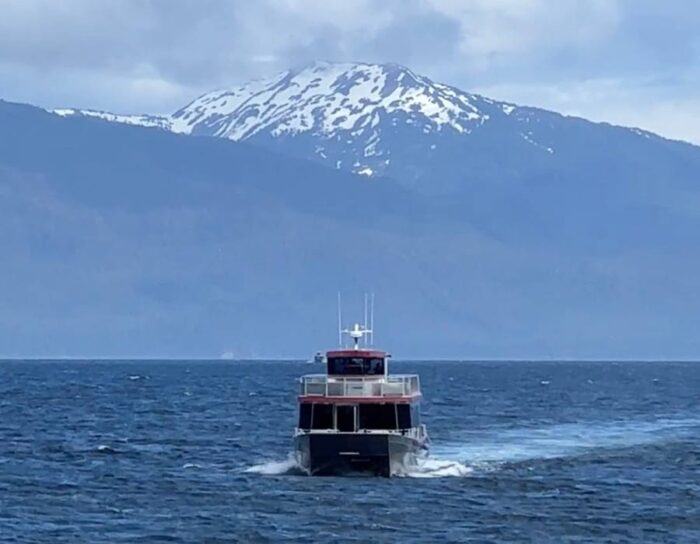 whale watching tour in Icy Strait Point