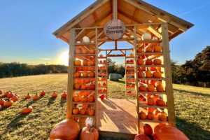 Country Pumpkins - A Fun Fall Adventure in Dry Ridge, KY