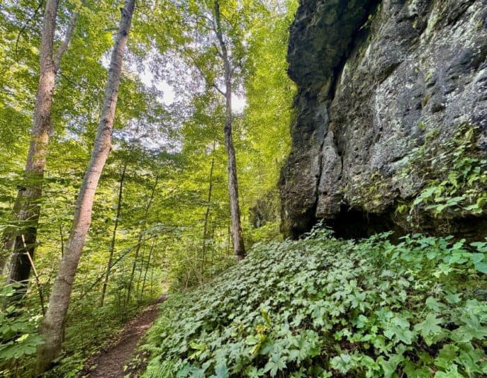 Miller Nature Sanctuary State Nature Preserve