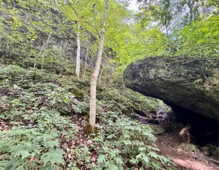 Miller Nature Sanctuary State Nature Preserve