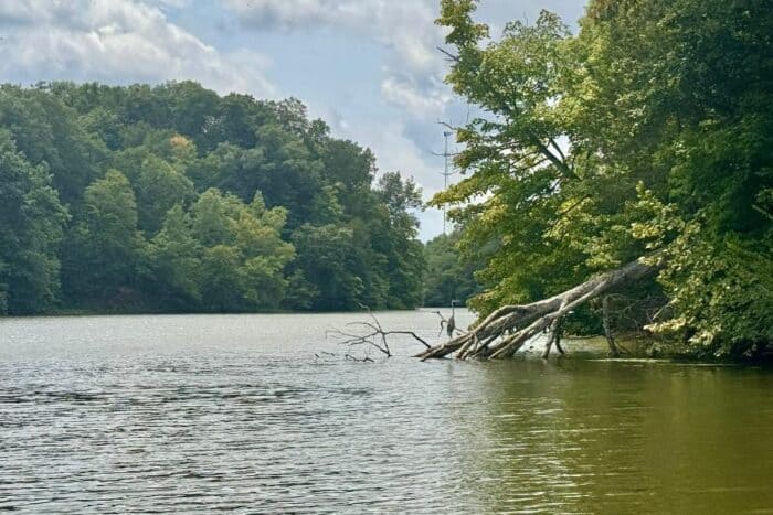  Rocky Fork Lake