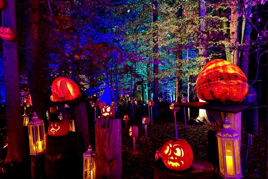 Tips for Visiting the Louisville Jack O’ Lantern Spectacular