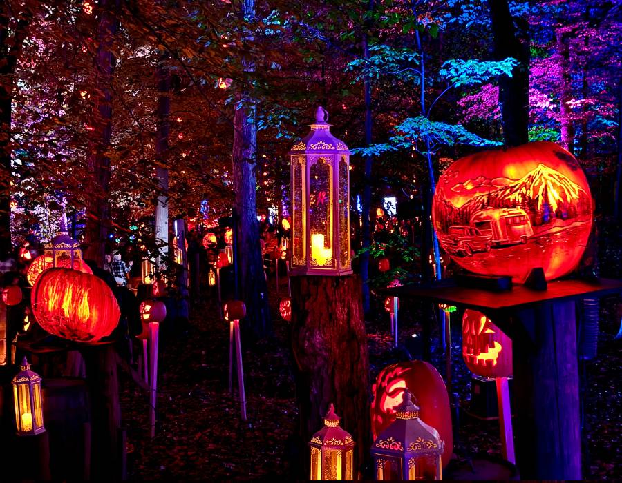 Tips for Visiting the Louisville Jack O’ Lantern Spectacular