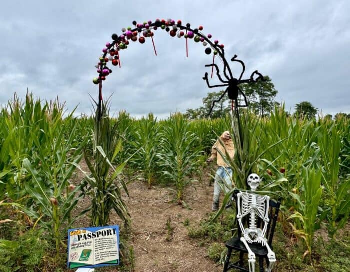 corn maze Dark Harvest Productions Farm in Hillsboro OH