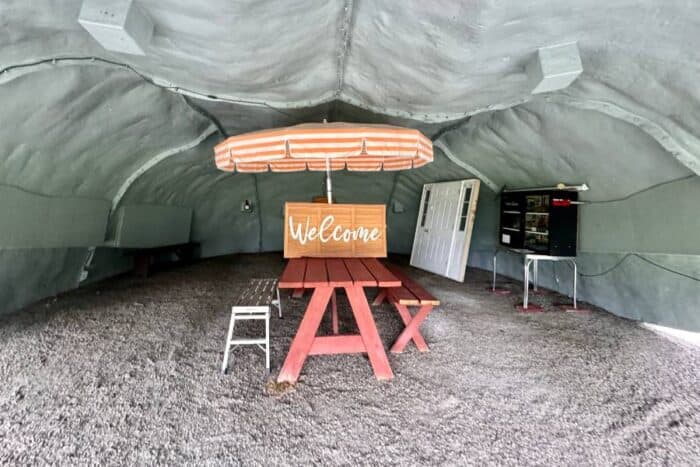 inside World's Largest Horseshoe Crab