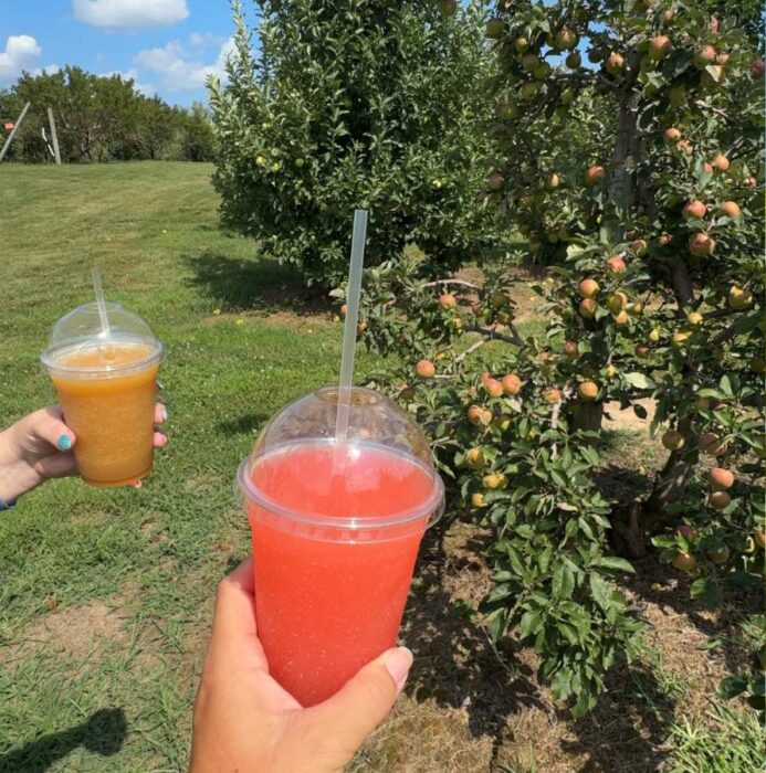 slushies at Karnes Orchard