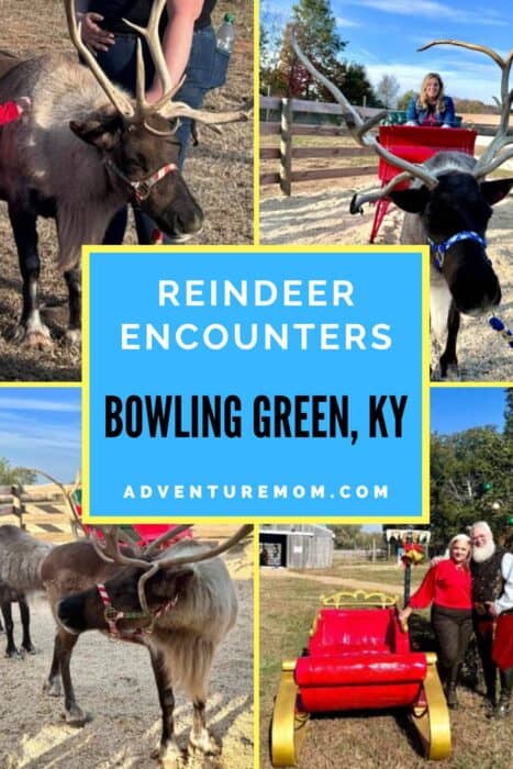 Reindeer Encounters at The Reindeer Farm in Bowling Green, KY