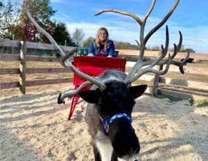 Reindeer encounters at The Reindeer Farm Bowling Green KY