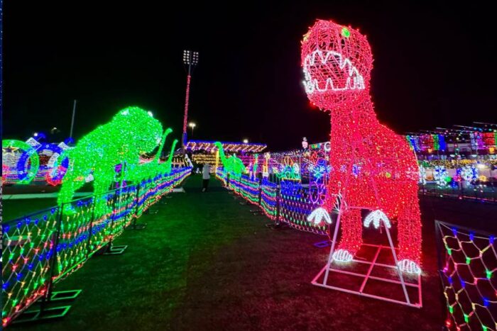 dinosaur lights at Deck the Y'alls Lightfest