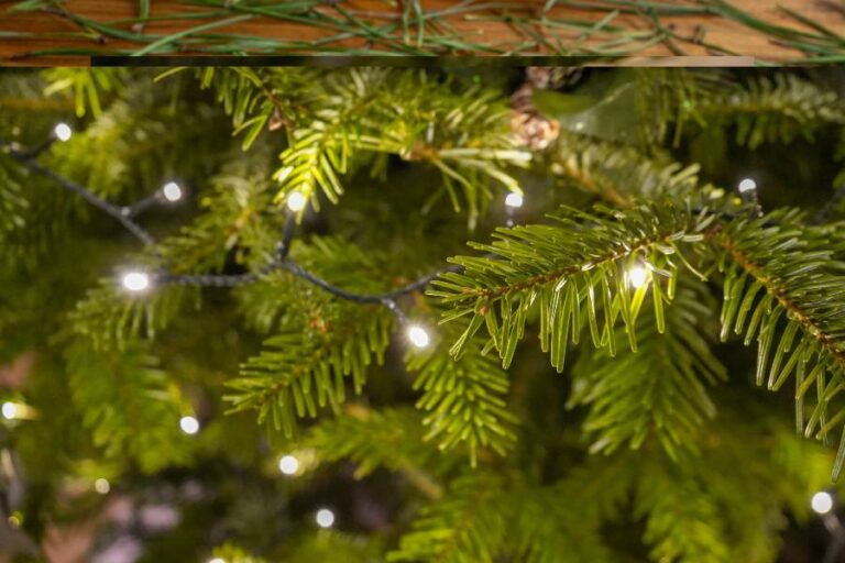 Tips for Selecting and Taking Care of a Real Christmas Tree