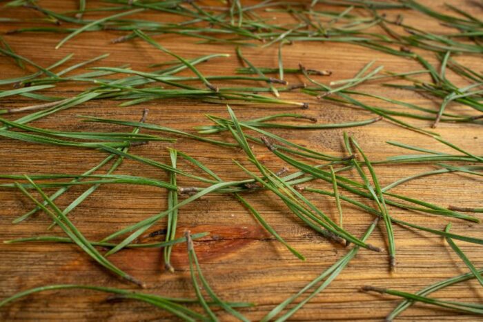 pine needles on the floor