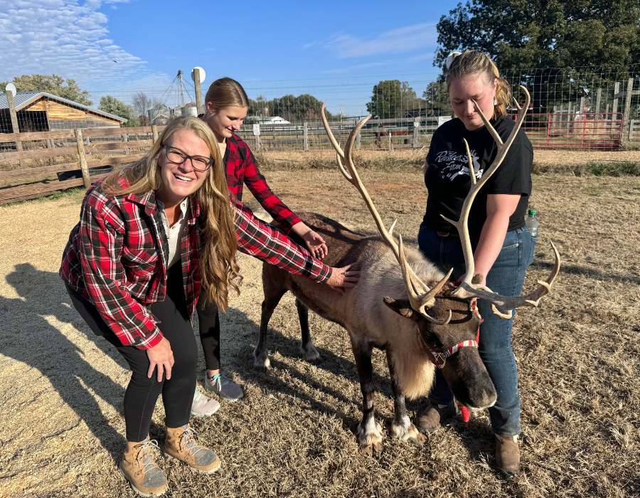 Reindeer Encounters At The Reindeer Farm In Bowling Green,KY