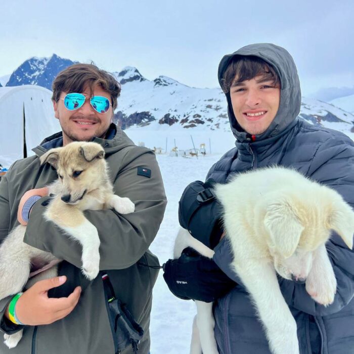 Alaskan puppies  Herbert Glacier Juneau Alaska