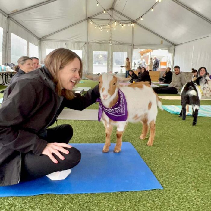Goat Yoga class fifty west brewing 9