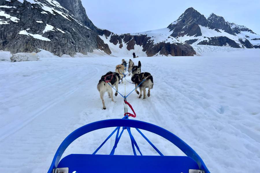 Is Dog Sledding on a Glacier in Juneau, Alaska Worth It?