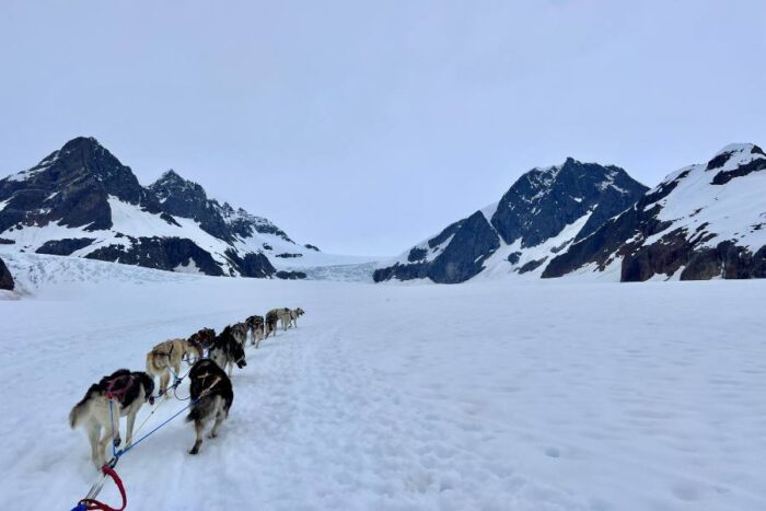 dog sledding Herbert Glacier Juneau Alaska 