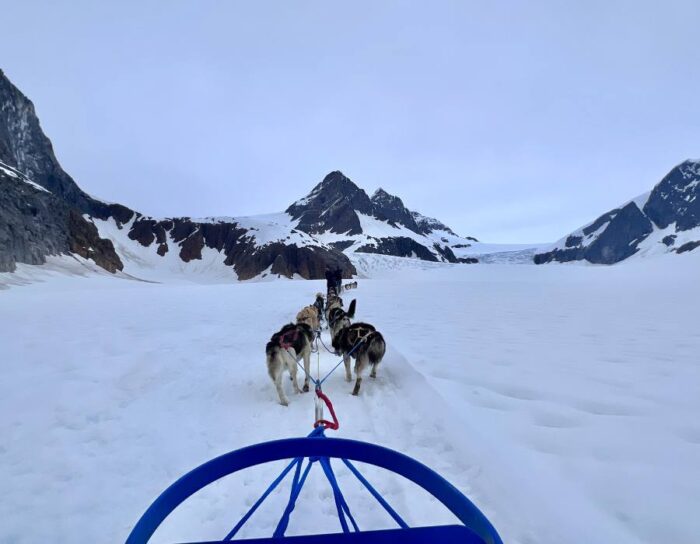 dog sledding in Juneau Alaska 