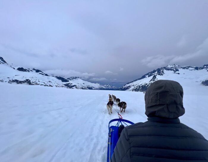 dog sledding in Juneau Alaska 