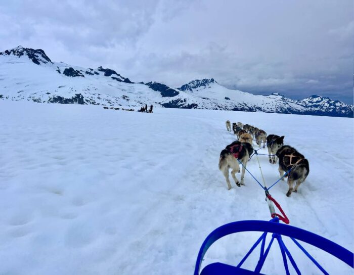 dog sledding on Herbert Glacier Juneau Alaska 