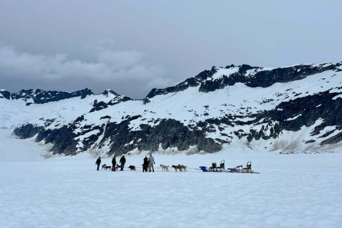 dog sledding on a glacier in Alaska